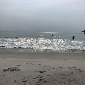 Meet your Posher, Priscilla